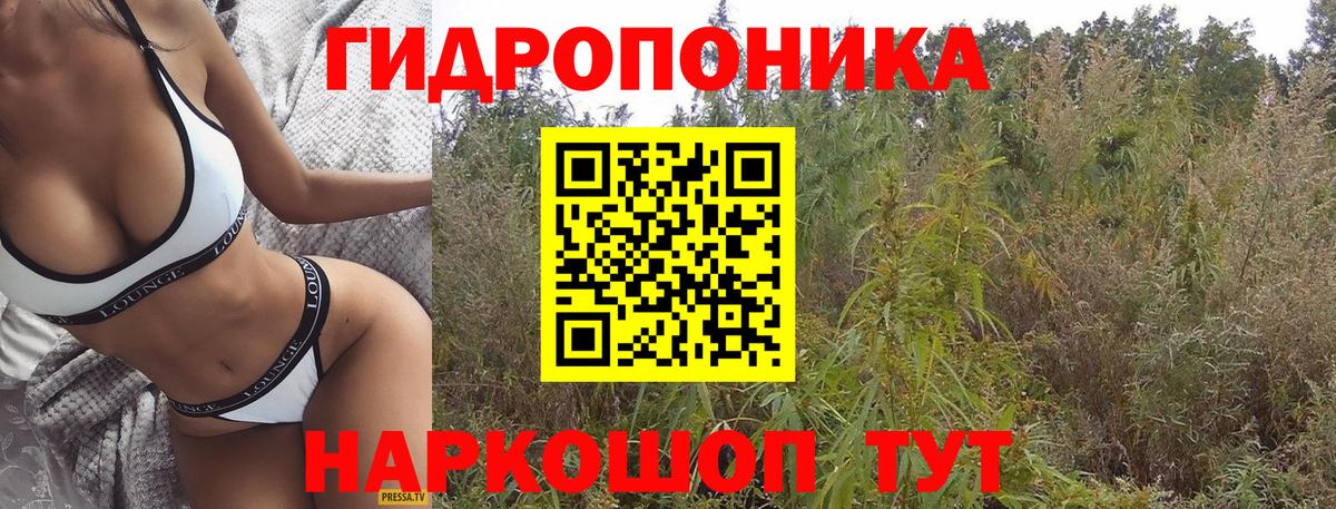 Канабис OG Kush Бийск