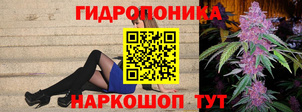 Бошки марихуана семена  Бошки марихуана THC 21%  Вход с VPN  Бийск  Шишки марихуана план 